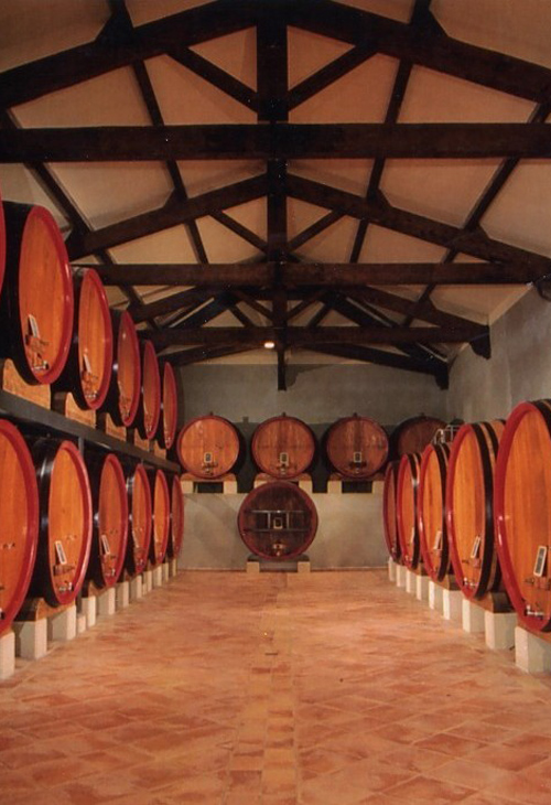 salle remplie de foudres de chêne pour l'élevage du vin