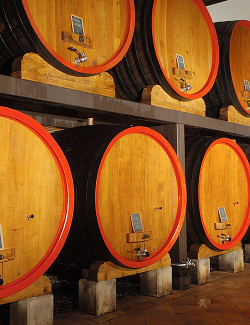 rangées de foudres de chêne pour le vieillissement du vin